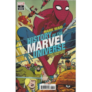 HISTORY OF THE MARVEL UNIVERSE - 3 (OF 6) - VARIANT COVER
